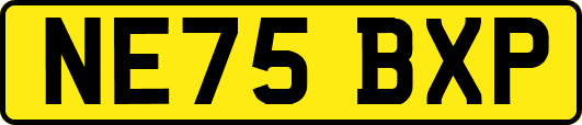 NE75BXP