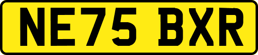 NE75BXR