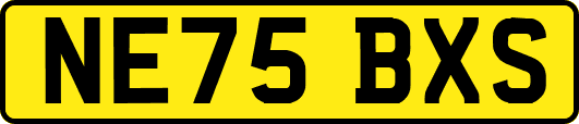 NE75BXS