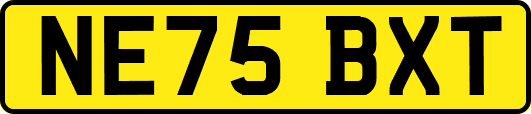 NE75BXT