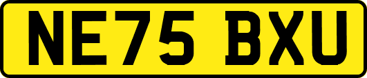 NE75BXU