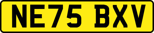 NE75BXV