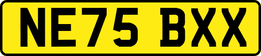 NE75BXX