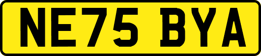 NE75BYA