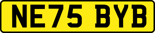 NE75BYB