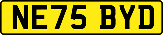 NE75BYD