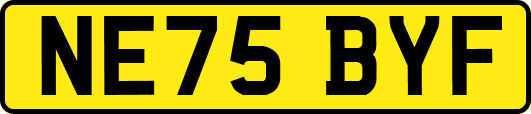 NE75BYF