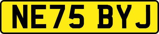 NE75BYJ