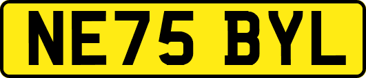 NE75BYL