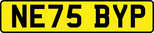 NE75BYP