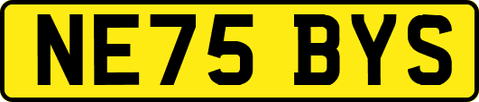 NE75BYS