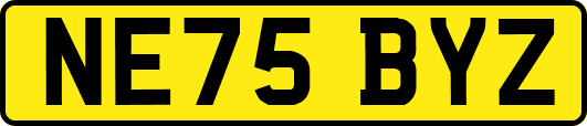 NE75BYZ