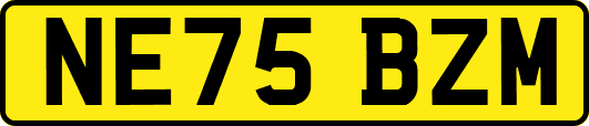NE75BZM