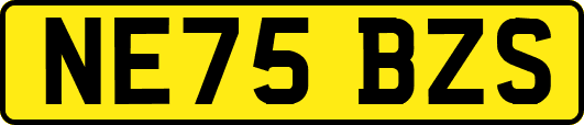 NE75BZS