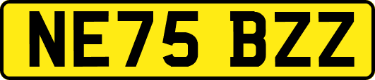 NE75BZZ