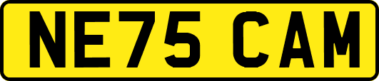 NE75CAM