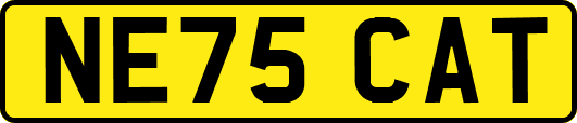 NE75CAT