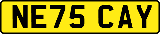 NE75CAY