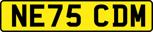NE75CDM
