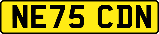 NE75CDN
