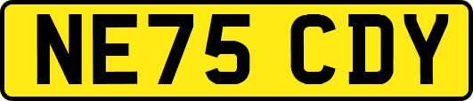 NE75CDY