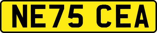 NE75CEA