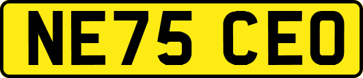 NE75CEO