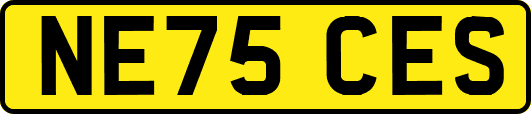 NE75CES