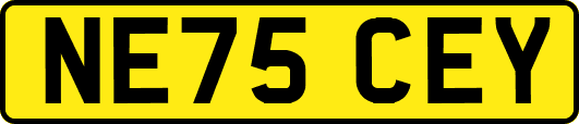 NE75CEY