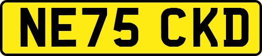 NE75CKD