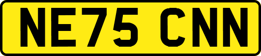NE75CNN