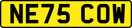 NE75COW