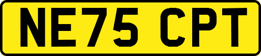 NE75CPT