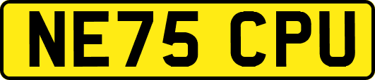 NE75CPU