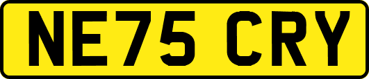 NE75CRY