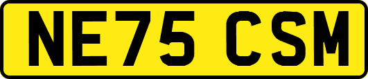NE75CSM