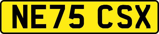 NE75CSX