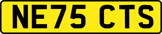 NE75CTS