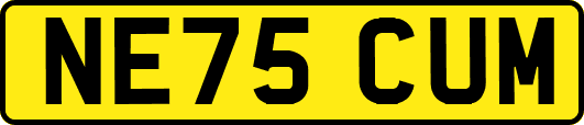 NE75CUM
