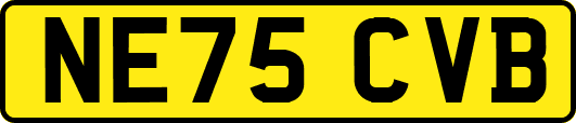 NE75CVB