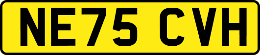 NE75CVH