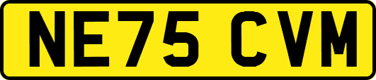 NE75CVM