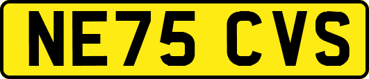 NE75CVS