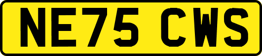 NE75CWS