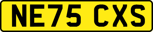 NE75CXS