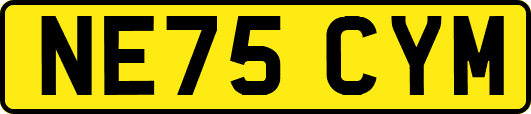 NE75CYM