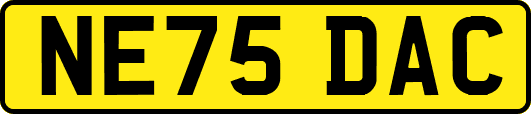 NE75DAC