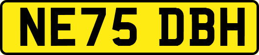 NE75DBH