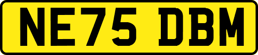 NE75DBM