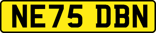NE75DBN